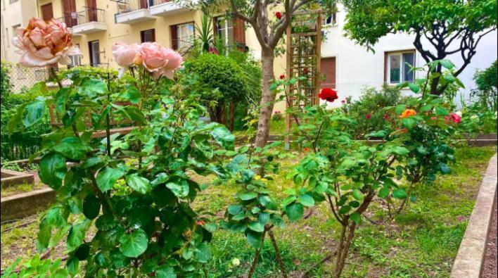 L'Avenir Du Ray Apartment Ница Екстериор снимка